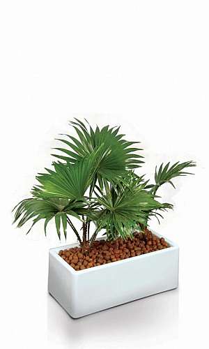 Floreira Vertical de Ferro Floreira Vertical de Ferro